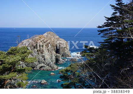 三陸の旅早春の姉ヶ崎 三陸の旅早春の姉ヶ崎 38838349