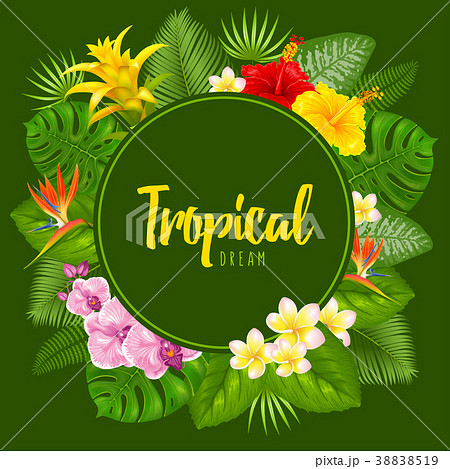 Summer tropical frame design 38838519