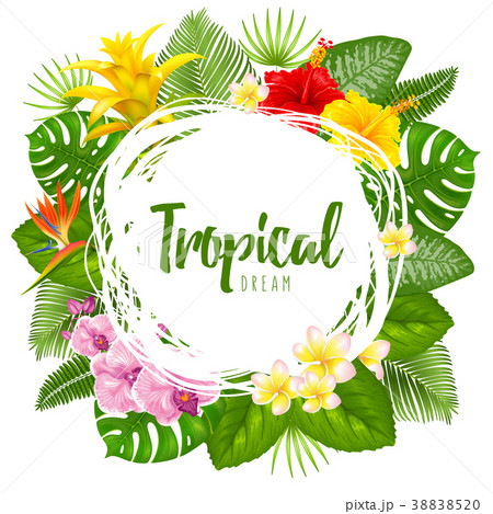 Summer tropical frame design 38838520