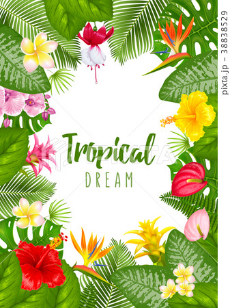 Summer tropical frame design 38838529