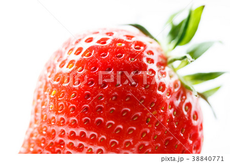 大粒いちご 38840771