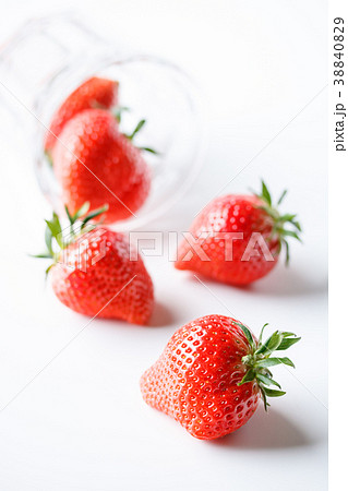大粒いちご 38840829