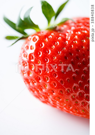 大粒いちご 38840838