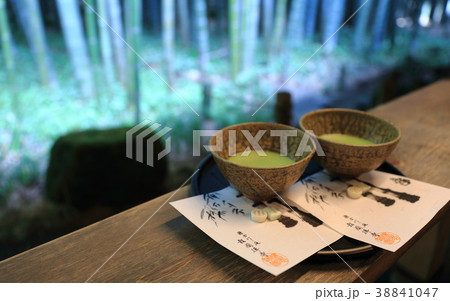 薄茶を報国寺竹林で楽しむ 薄茶を報国寺竹林で楽しむ 38841047