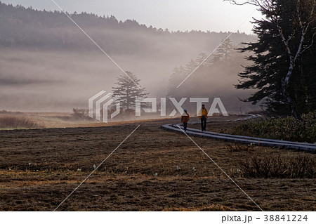 朝霧流れる尾瀬・大江湿原を行くハイカー 38841224