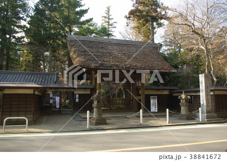 初春の平林寺総門　武蔵野の樹木林 38841672