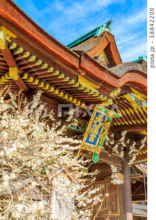 京都 春の北野天満宮 三光門 京都 春の北野天満宮 三光門 38842200
