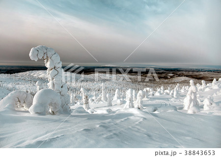 Winter landscape 38843653