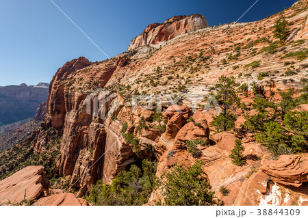 Landscape in Zion National Park Landscape in Zion National Park 38844309