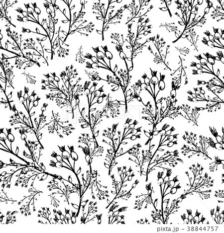 Floral seamless pattern, sketch for your design Floral seamless pattern, sketch for your design 38844757