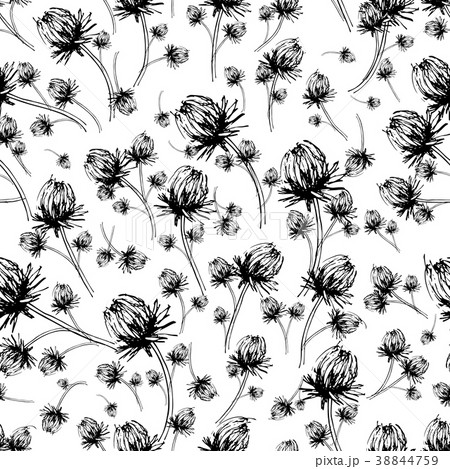 Floral seamless pattern, sketch for your design 38844759