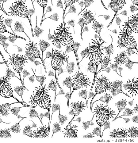 Floral seamless pattern, sketch for your design 38844760