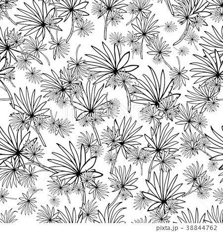 Floral seamless pattern, sketch for your design Floral seamless pattern, sketch for your design 38844762