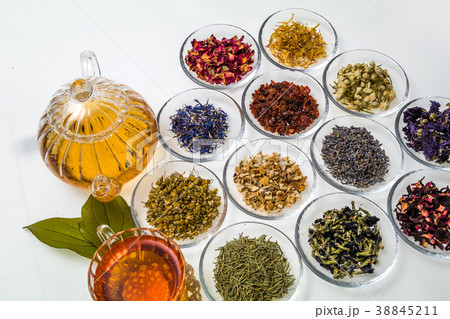 世界のハーブティー　Herbal tea of ​​the world 38845211