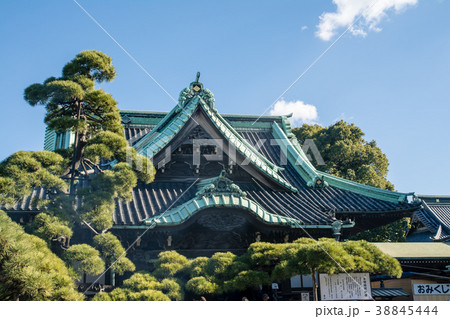 柴又帝釈天の屋根と大きな木々 38845444