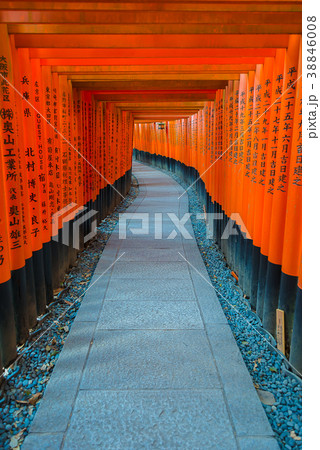 Fushimi Inari Taisha Shrine in Kyoto 38846008