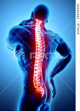 3D Illustration of sacral and cervical painful. 38846609