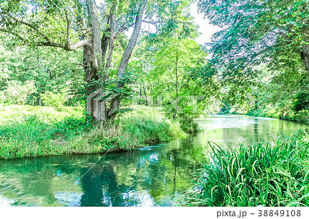 長野県安曇野市穂高  ワサビ田湧水群  38849108