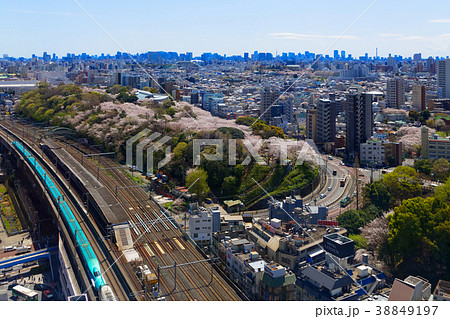 飛鳥山の満開のソメイヨシノと東北新幹線　飛鳥山 38849197