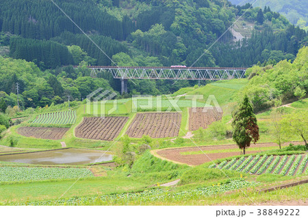 トロッコ列車の風景 38849222
