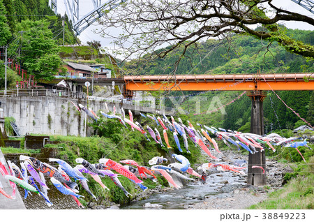 青雲橋の鯉のぼり 38849223