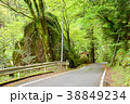宮崎県、大分県の県道6号線沿い風景 38849234