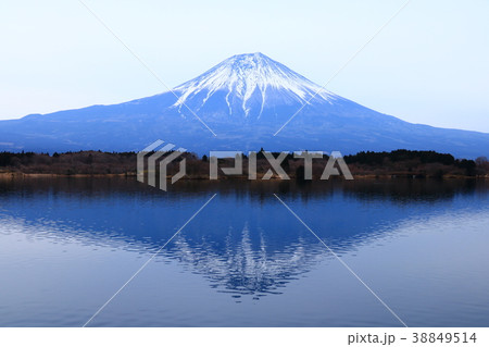 逆さ富士と田貫湖の風景 逆さ富士と田貫湖の風景 38849514