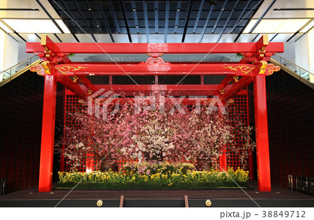 羽田空港　国際線ターミナル　江戸舞台 38849712