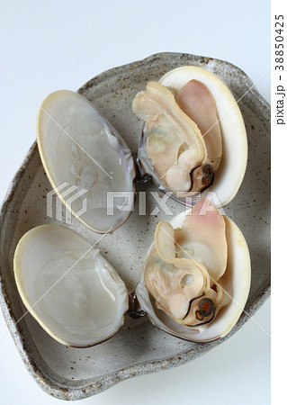 焼きハマグリ 38850425