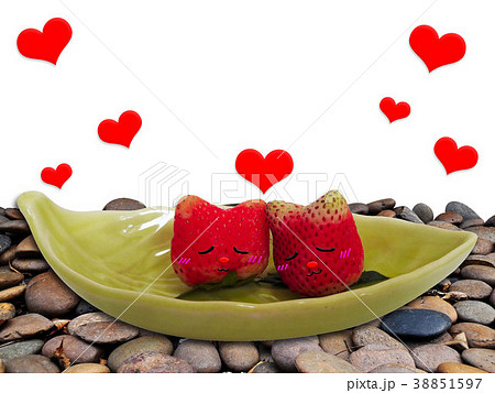 Strawberry Cat in Boat 38851597