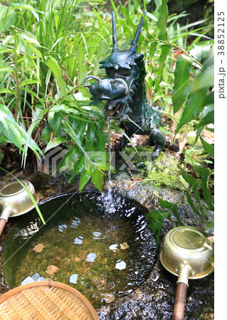 千葉県松戸市の本土寺　銭洗い弁天 38852125