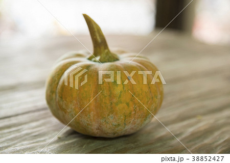 カボチャ かぼちゃ 南瓜 38852427