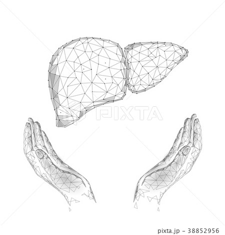 World Hepatitis Day awareness 28 July liver health 38852956