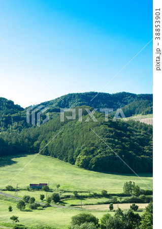 丘の風景　富良野 38853901