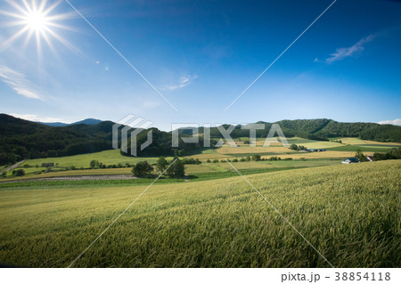 丘の風景　富良野 38854118