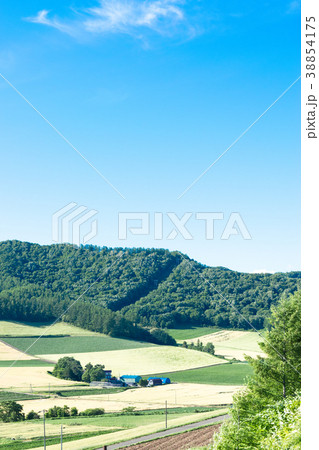 丘の風景　富良野 38854175