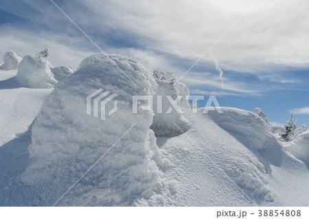西吾妻山山頂付近の樹氷 38854808