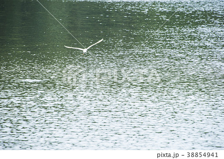 飛ぶ 飛行 宜蘭 38854941