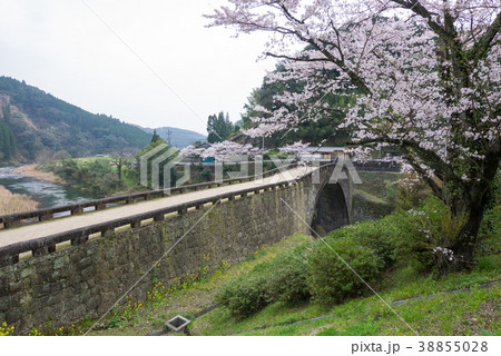 霊台橋と満開の桜(熊本県美里町) 霊台橋と満開の桜(熊本県美里町) 38855028