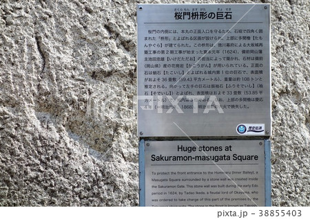 大阪城 桜門桝形巨石 大阪城 桜門桝形巨石 38855403