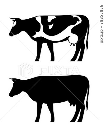 Cow icon vector silhouette set. 38855856