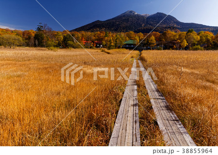 草紅葉の尾瀬ヶ原から見る見晴の山小屋と新雪の燧ヶ岳 38855964
