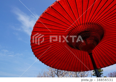 赤い傘 38856531