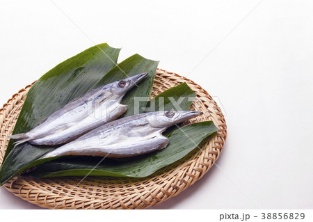 かますの開き　干物 38856829