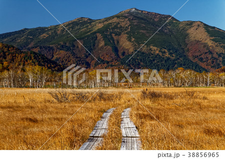 草紅葉の尾瀬ヶ原から見る至仏山の写真素材