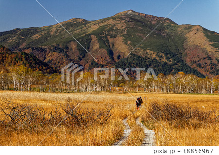 草紅葉の尾瀬ヶ原を行くハイカーと至仏山の写真素材