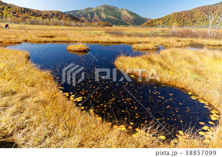 草紅葉の尾瀬ヶ原の池塘と至仏山の写真素材