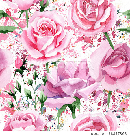 Wildflower pink tea rosa flower pattern in a 38857368