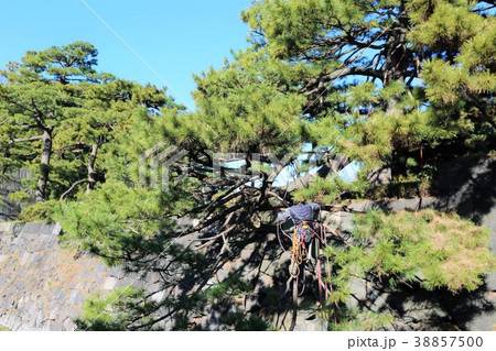 天神濠 天神濠 38857500