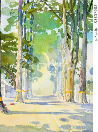 Watercolor landscape painting of Tunnel trees. Watercolor landscape painting of Tunnel trees. 38857602